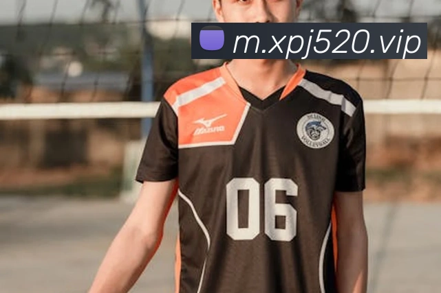 新葡京娱乐城官网平台生态图