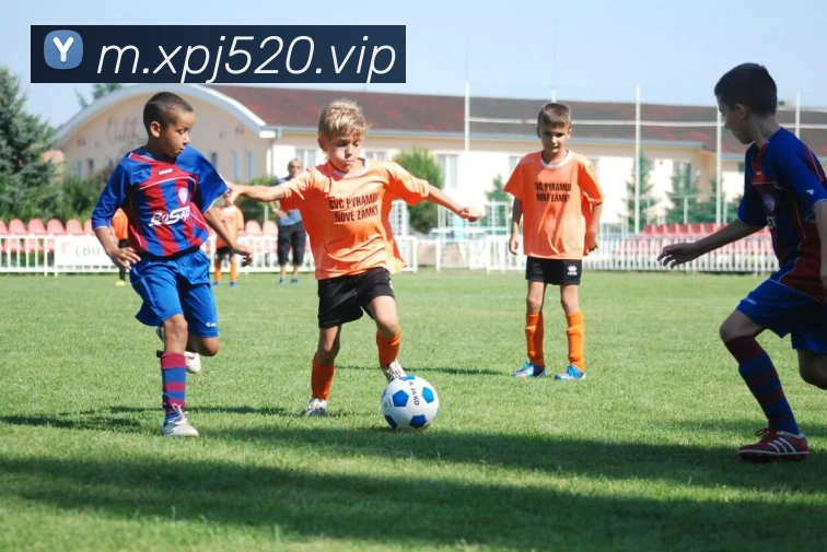 新葡京娱乐城官网全站App